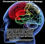 Circumcision brain damage