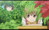 HD-wallpaper-hide-n-seek-pretty-kashimashi-plant-sweet-nice-green-anime-bush-anime-girl-playing-hide-female-lovely-smile-smiling-happy-cute-kawaii-girl
