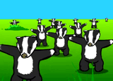 Badgers_Badgers
