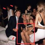 trump_epstein_fake2