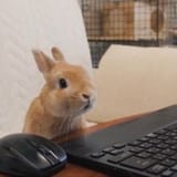 bafkreifk6sfuxjzjgjaow6v57ondynm6xvx5c6vudc7sb3mwpktiuc7liy