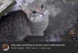 1735986813651247