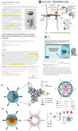 Adenovirus