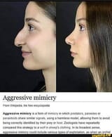 1750017449594153