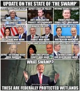 trumpSwampDraining