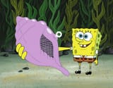spongebob-has-a-shell-e1658310669635-881628938