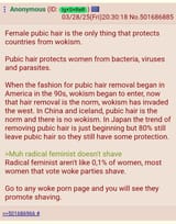 Female pubic hair is the only thing that protects countries from wokism
