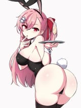 NegevBunny