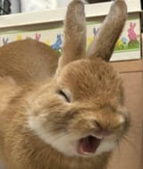 aahhh