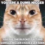 nigga_cat