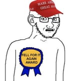 fellforitagainaward (1)