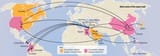 Organ trade trafficking routes Organ harvesting