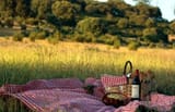 Picnic for ICE Agents