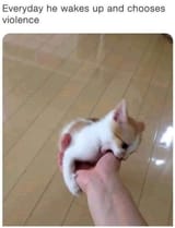 bftbt