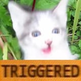 triggered