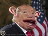Trump mutt 2