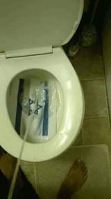 FB_IMG_1538195774130