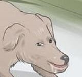 1421193204529