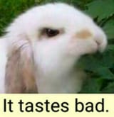 IttastesBad
