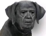 1740011905092925
