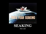 fuck_yeah_seaking