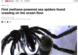 fart spider
