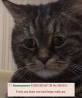 1664482833071025