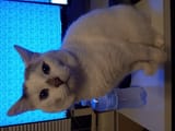 IMG_20221209_043909050
