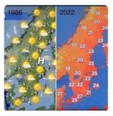 1750200457266
