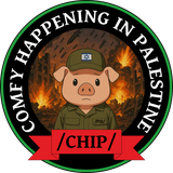 comfy happening in palestine