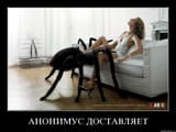 spiderrape