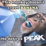 PeakAntifreeze