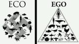 eco_v_ego