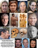 neanderthals