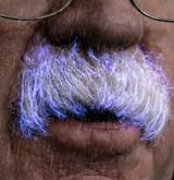 John Bolton 3