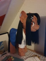 nigapony