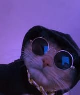 nigga