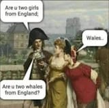 1723517922467452