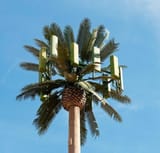 Disguised 5G tower