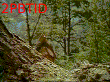 2pbtid