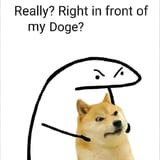 really-right-front-my-doge
