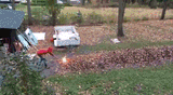 day of the rake