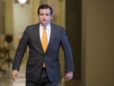 Ted