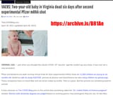 vaccine 33