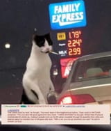1727392927185302