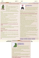 inowhavealeftygfpolgreentext