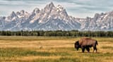 wyoming