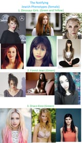 The Notifying Phenotypes 1