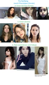 The Notifying Phenotypes 2