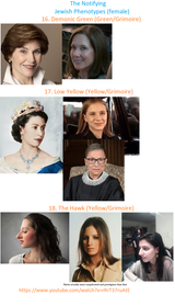 The Notifying Phenotypes 6